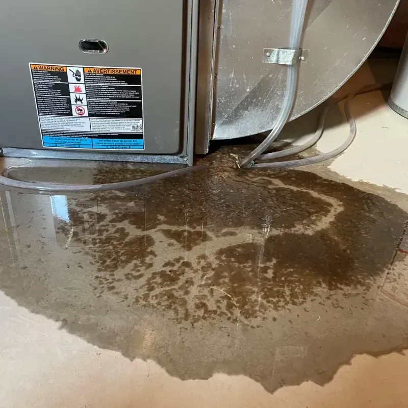 Appliance Leak Cleanup in Otis Orchards-East Farms, WA